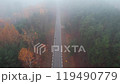 Foggy and misty autumn forest. Aerial view. 119490779