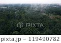 Foggy and misty autumn forest. Aerial view. 119490782