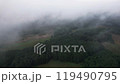 Foggy and misty autumn forest. Aerial view. 119490795