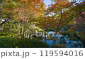 Autumn Leaves 15-4k Autumn Leaves 15-4k 119594016
