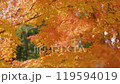 Autumn leaves 18-4k Autumn leaves 18-4k 119594019