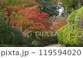 Autumn leaves 19-4k Autumn leaves 19-4k 119594020