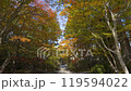 Autumn Leaves 20-4k Autumn Leaves 20-4k 119594022
