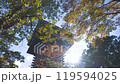 Autumn leaves 23-4k Autumn leaves 23-4k 119594025
