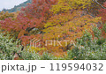 Autumn Leaves 9-4k Autumn Leaves 9-4k 119594032