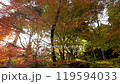 Chojuji temple autumn leaves (Konan Sanzan) Chojuji temple autumn leaves (Konan Sanzan) 119594033