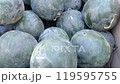 Watermelons at a traditional Italian market 119595755