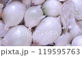 Close-up of white onions at an Italian market 119595763