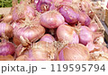 Fresh red onions at a vibrant Italian market 119595794