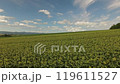 Hokkaido Biei Drone Hokkaido Biei Drone 119611527