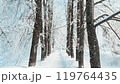 Beautiful winter landscape. Christmas and New Year mood. 119764435