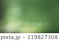 渓谷の川の揺らめきピンボケ背景 119827308
