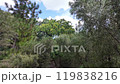Walking along the mountain path 119838216