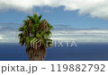 Palm tree against the background of buildings, blue ocean and white clouds 119882792