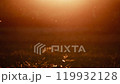 【莊內風景】秋天夕陽下的蜻蜓和田園風光 119932128