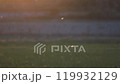 【莊內風景】秋天夕陽下的蜻蜓和田園風光 119932129