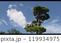 Clouds slow motion-2 119934975
