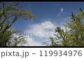 Clouds Slow Motion 119934976