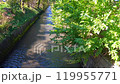 川 119955771