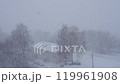 First snow in village. Snowfall. 119961908