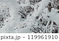 Beautiful winter landscape. Christmas and New Year mood. 119961910