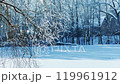 Beautiful winter landscape. Christmas and New Year mood. 119961912