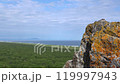 Scenic Coastal Landscape Featuring a Rocky Outcrop Surrounded by Lush Greenery and Flora. Footage. 119997943