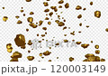 Gold Pebble Particles 3_Front 120003149