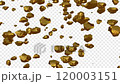 Metallic Particle 1_Falling Transition 120003151