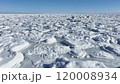 流氷 一面流氷 快晴 冬 北海道網走 ドローン 前進 120008934