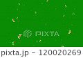 Golden Confetti Rain Green Screen Animation 4K includes star and snowflake ornaments for an added festive touch. Perfect for various creative projects such as promotional videos, or special events. 120020269