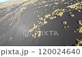 伊豆大島　裏砂漠 120024640