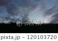 夕暮れ時の土手と街灯の光 120103720