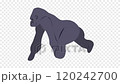 Gorilla walk cycle animation, loop animation, wild animal 2d animation 120242700