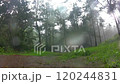 Heavy rain pounds against the car window, fogging it up in the middle of an unknown deep forest, isolated and surrounded by the sound of the storm. 120244831