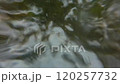 The water puddle on the ground softly ripples as raindrops gently fall from the sky. 120257732