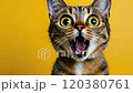 Portrait of surprised baby girl opening her mouth in amazement 4k video 120380761