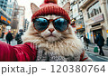 Stylish cat taking selfie wearing sunglasses and knitted hat in city 4k video 120380764