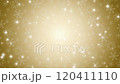 雪花圖案循環粒子影片金色閃閃發光的背景動畫 雪花圖案循環粒子影片金色閃閃發光的背景動畫 120411110