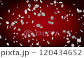 Shiny snowflakes falling on red background. Seamless looping animation. 120434652