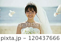 Smiling bride/bride wedding video #2 120437666