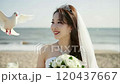 Smiling bride/bride wedding movie #1 120437667