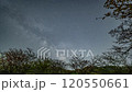 【星空延時攝影】銀河與櫻花/千葉 120550661