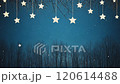 星降る夜のファンタジー 120614488