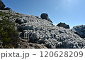 Mt. Hayachine in early winter, with frost flowers blooming 120628209