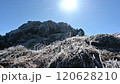 Mt. Hayachine in early winter, with frost flowers blooming 120628210