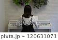 Back view of a woman playing piano 120631071