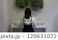 Back view of a woman playing piano 120631072