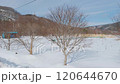 冬季農村景觀 120644670