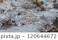泉水在冰下流動 120644672